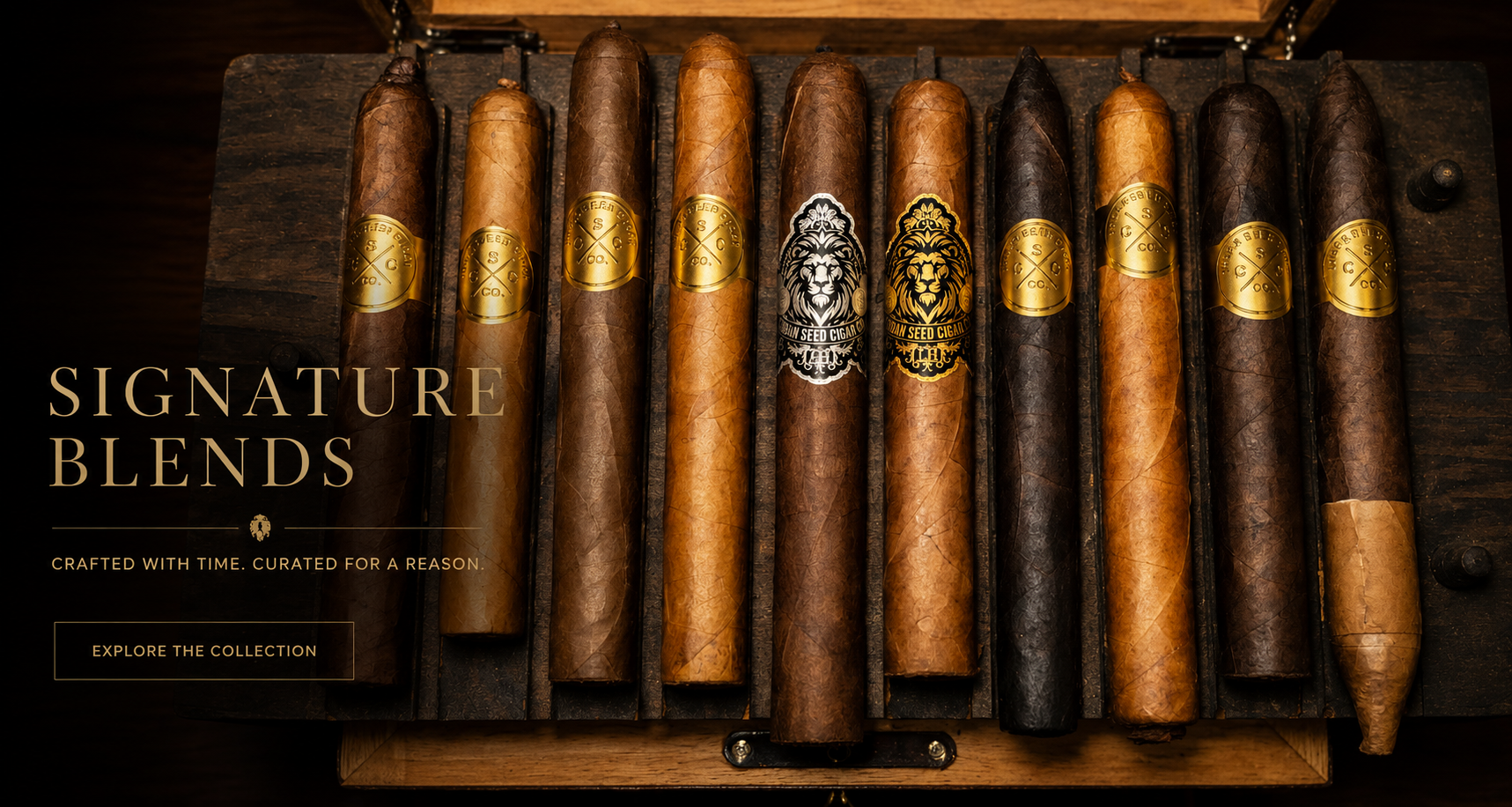 EXPLORE THE COLLECTION
